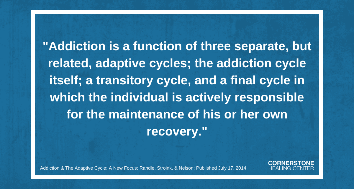 Forthcoming addiction interventions and research may benefit from the consideration that addiction is a function of three separate, but related, adaptive cycles; the addiction cycle itself; a transitory cycle, and a final cycle in which the individual is actively responsible for the maintenance of his or her own recovery