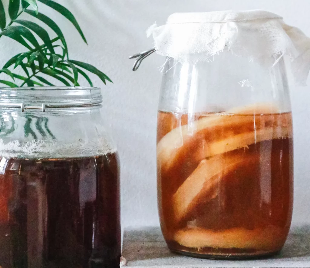 is it ok to drink kombucha in recovery