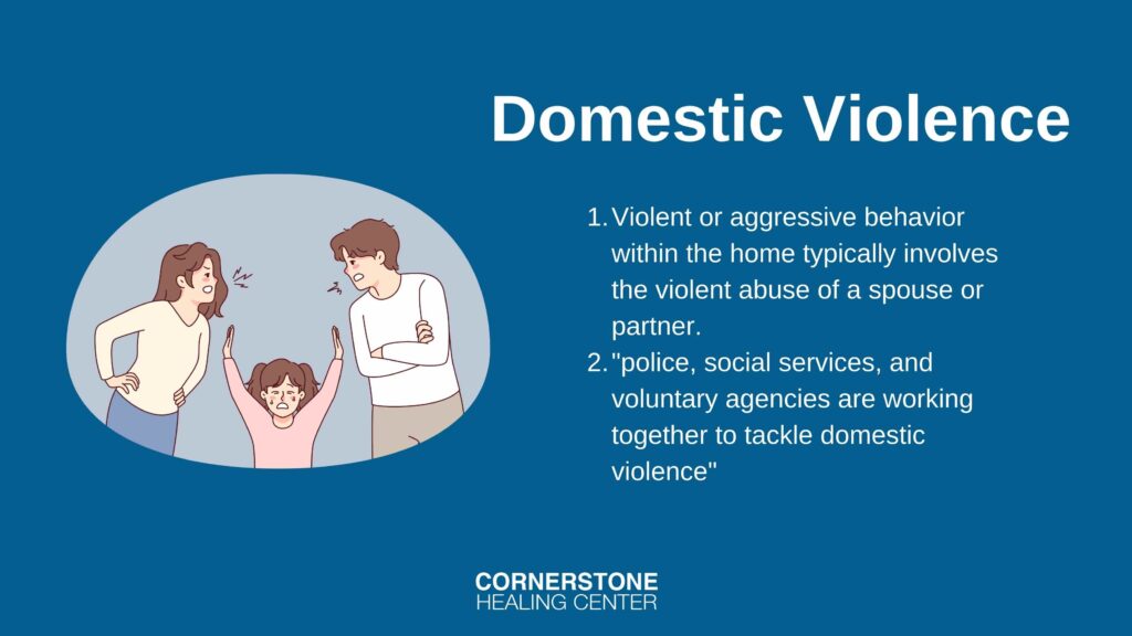 domestic violence word definition